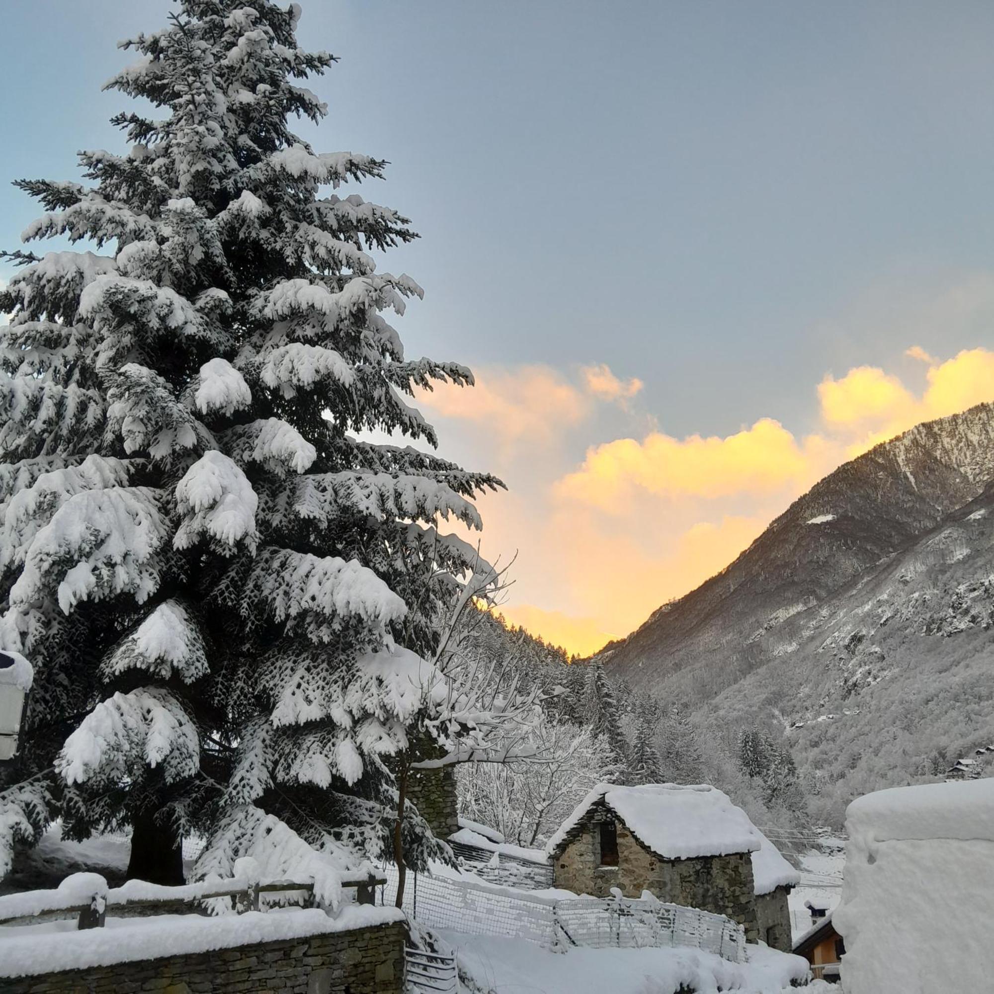 Casa All'Alpe Gaggetto B & B Anzino Exterior foto